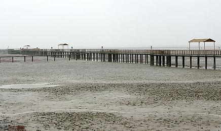 PS版《玛莎已死》略有删减 PS实体版延期发售